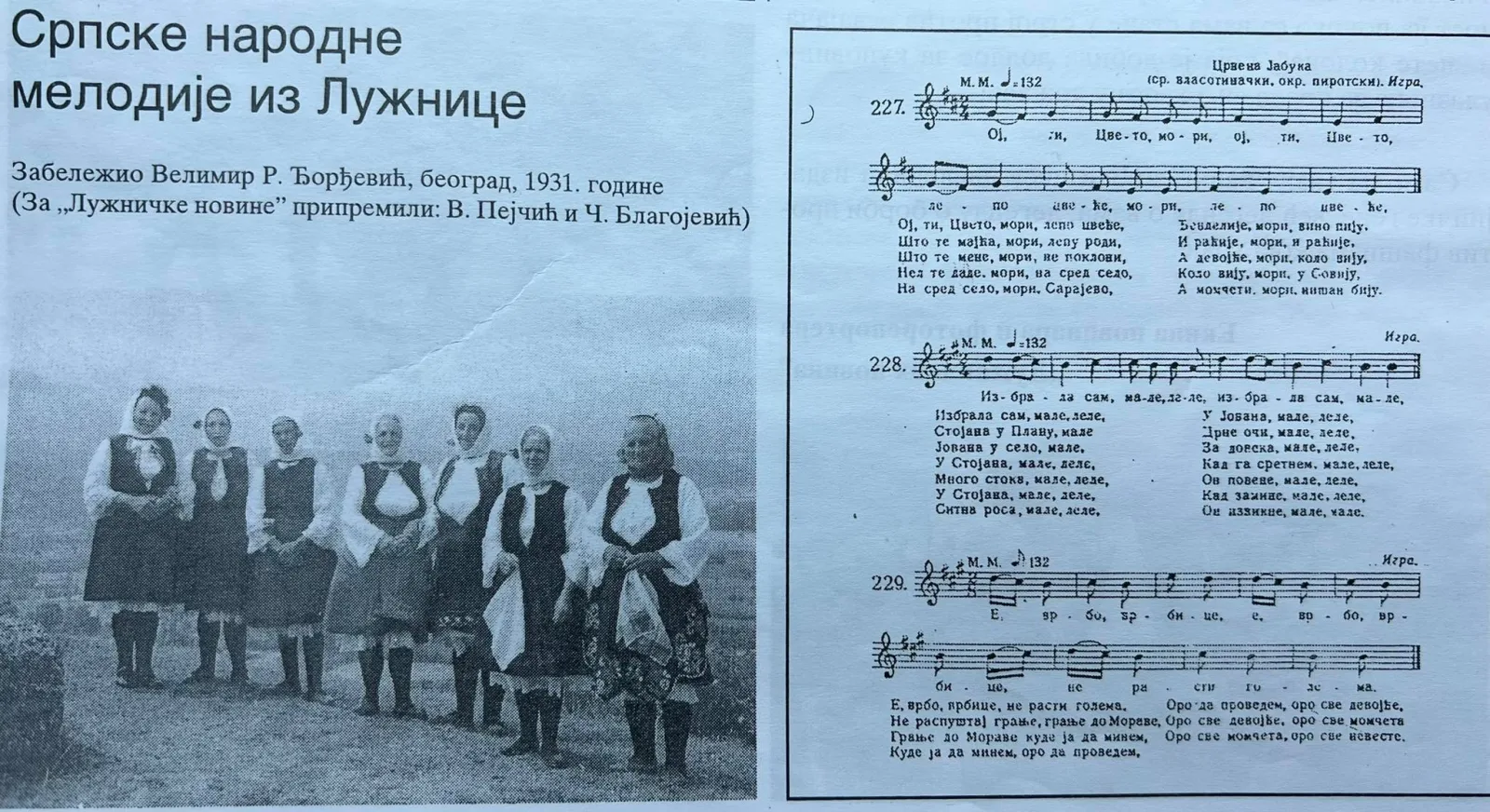 БОГАТСТВО ЛУЖНИЧКЕ НАРОДНЕ БАШТИНЕ — fotografija 4