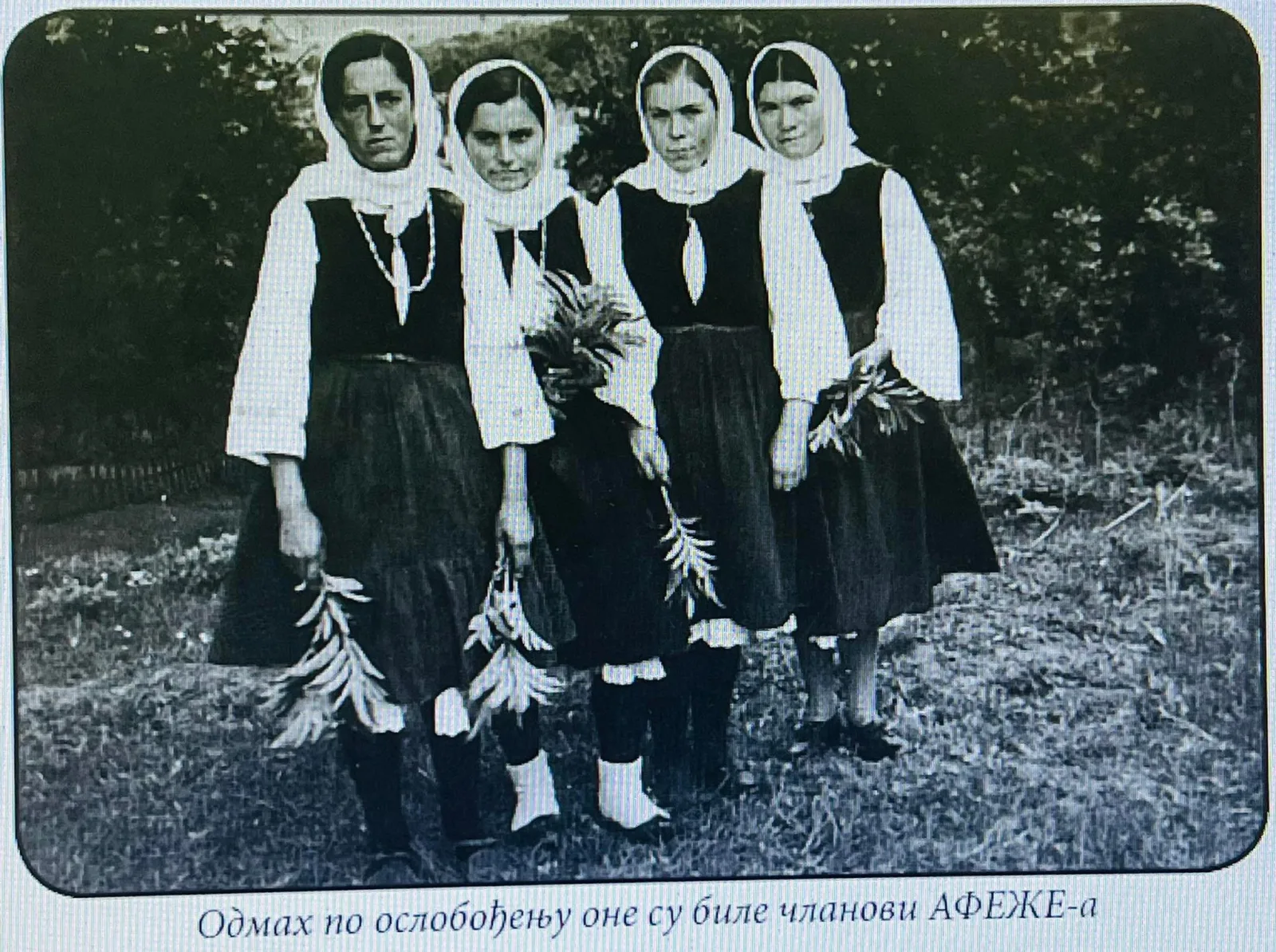 ЛУЖНИЧКЕ ДАМЕ ИЗ ПРОШЛОГ ВЕКА