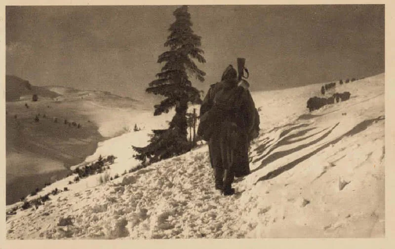ПОЧЕТАК ПОВЛАЧЕЊА И ПОВЛАЧЕЊЕ СРПСКЕ ВОЈСКЕ У ПРВОМ СВЕТСКОМ РАТУ — fotografija 11