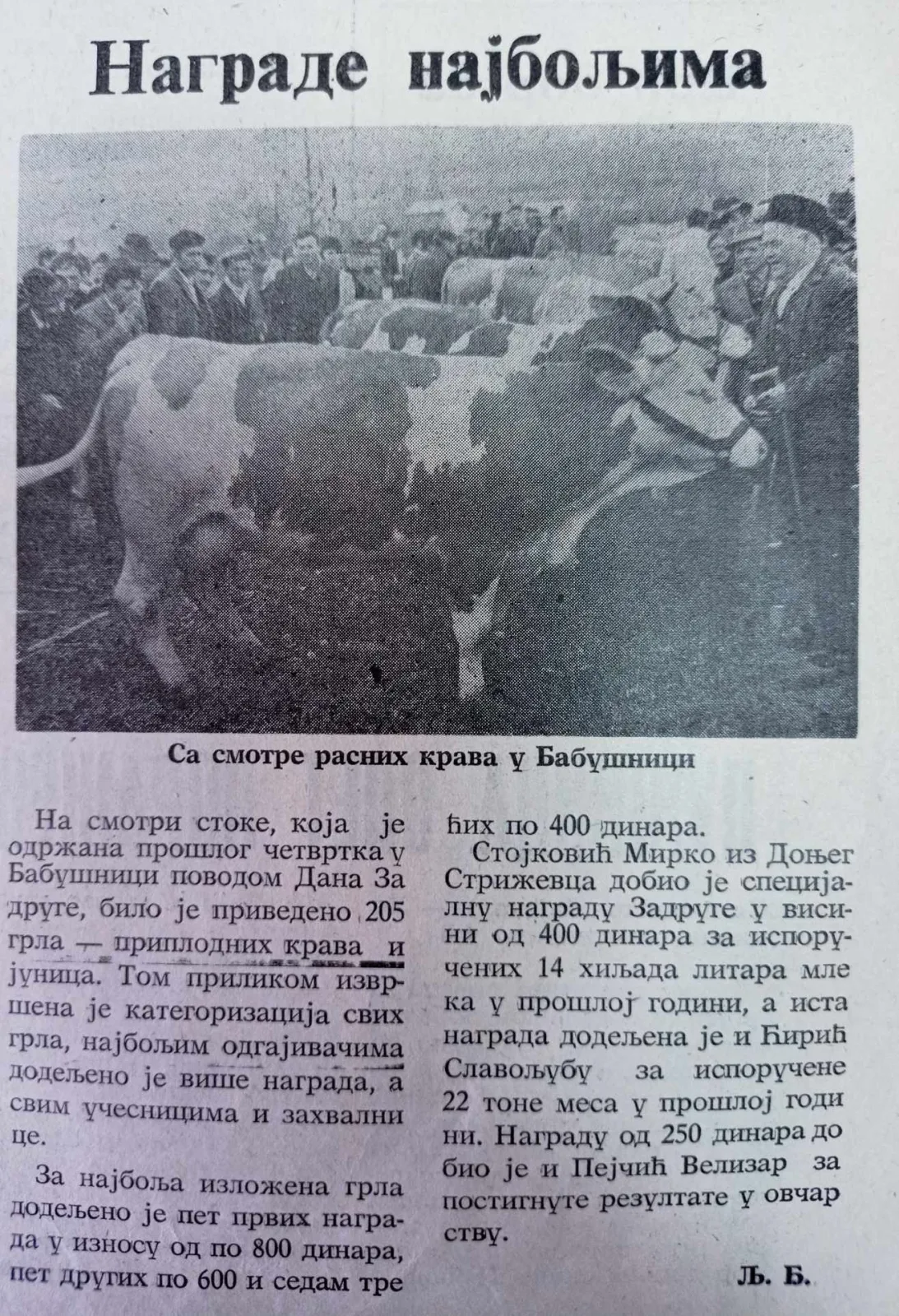ПОЉОПРИВРЕДА И СТОЧАРСТВО У ЛУЖНИЦИ — (Ову објаву посвећујемо најпознатијем агроному Лужнице ВОЈИСЛАВУ ВОЈИ МЛАДЕНОВИЋУ) — fotografija 25