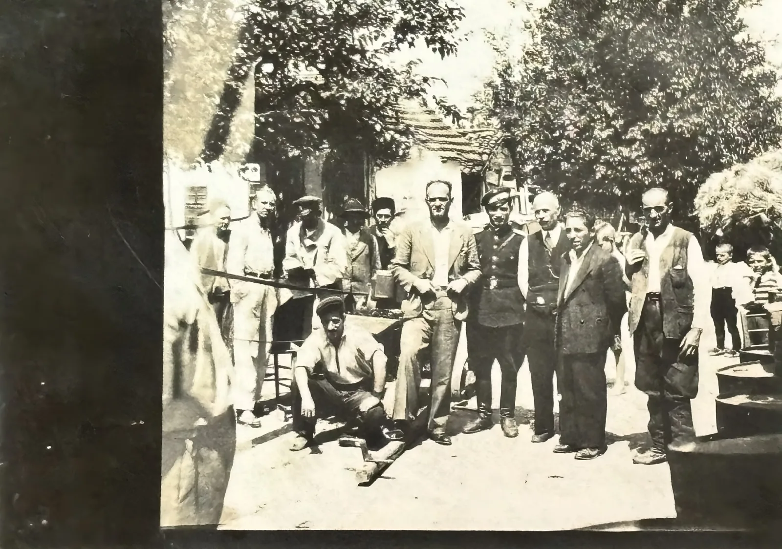 НАЈЛЕПШЕ ФОТОГРАФИЈЕ ПРЕДРАТНЕ БАБУШНИЦЕ (II) — fotografija 8