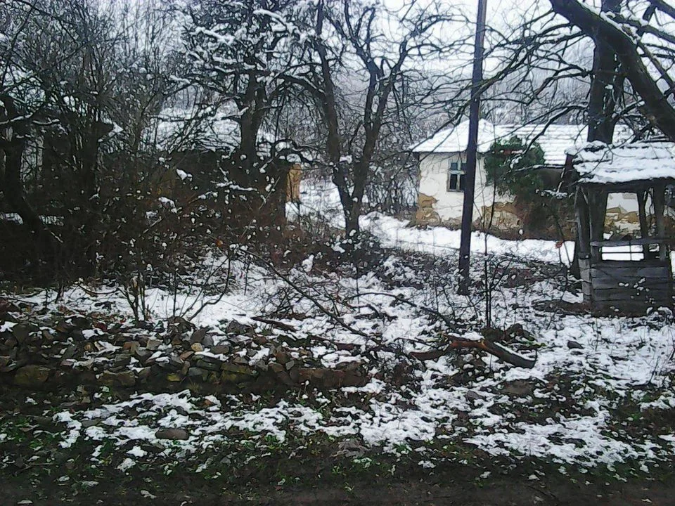 Poražavajuća statistika o poljoprivrednoj proizvodnji u srpskim selima — fotografija 6