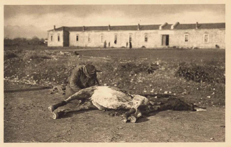 ПОЧЕТАК ПОВЛАЧЕЊА И ПОВЛАЧЕЊЕ СРПСКЕ ВОЈСКЕ У ПРВОМ СВЕТСКОМ РАТУ — fotografija 3