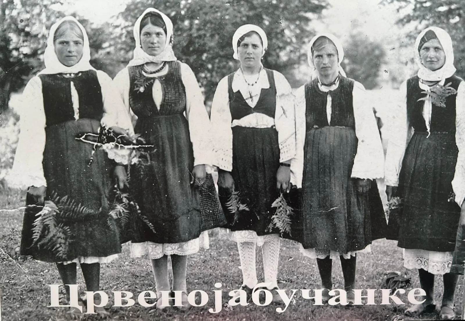 „ЛУЖНИЧАНИ У ОПШТИНИ ОЏАЦИ“