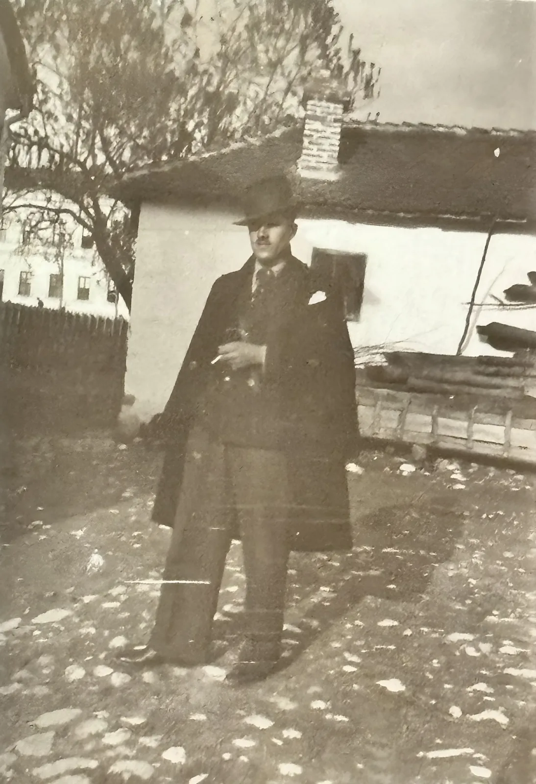 НАЈЛЕПШЕ ФОТОГРАФИЈЕ ПРЕДРАТНЕ БАБУШНИЦЕ (II) — fotografija 10
