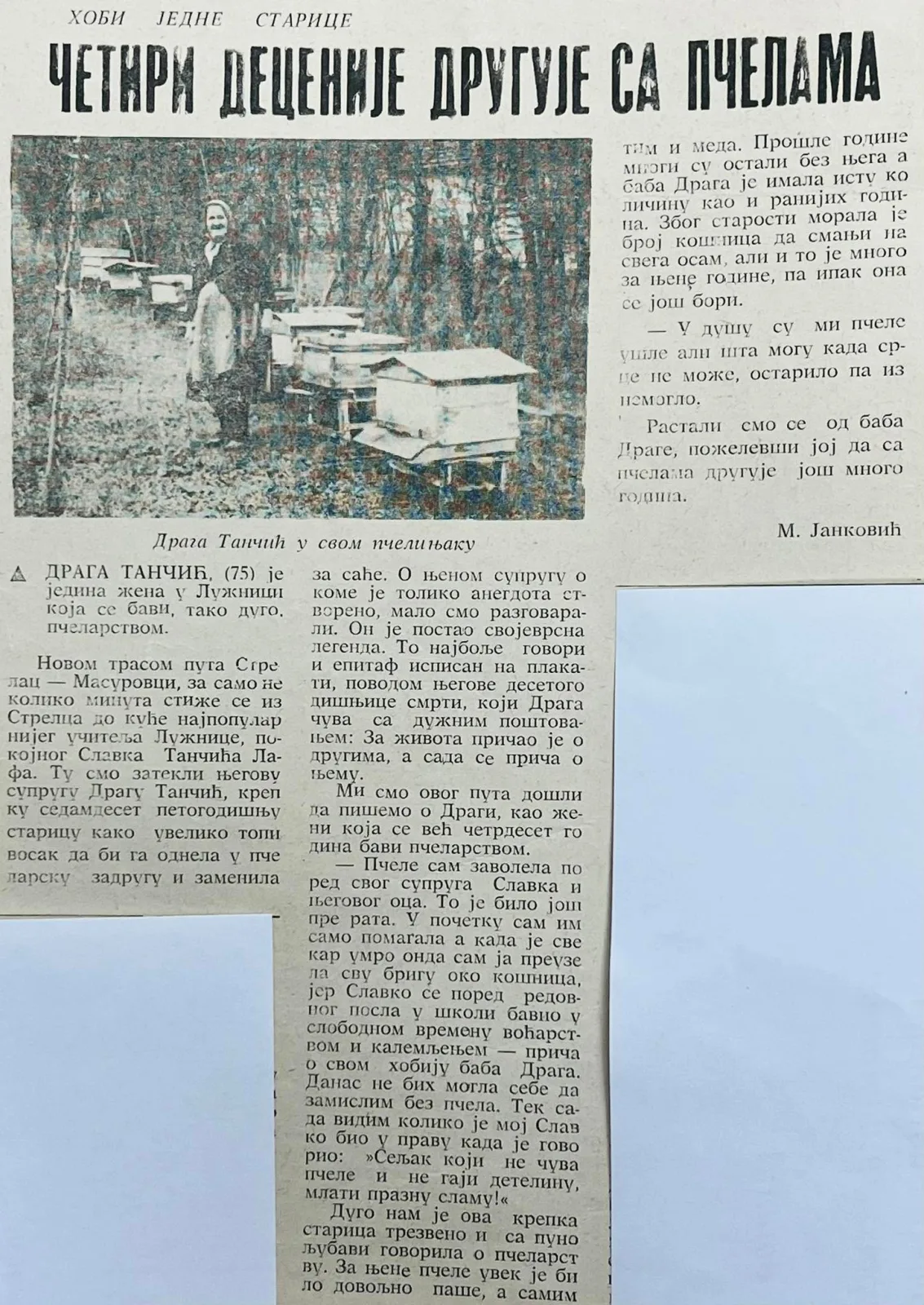 ЛИСТАМО „ЛУЖНИЧКЕ НОВОСТИ“ ИЗ 1979. ГОДИНЕ — ЧЕТИРИ ДЕЦЕНИЈЕ ДРУГУЈЕ СА ПЧЕЛАМА