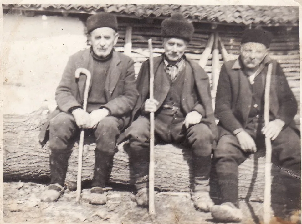 ЈЕСЕН ЖИВОТА — Објава је посвећена Форском и свим старим, усамљеним људима који живе у Лужници. — fotografija 19
