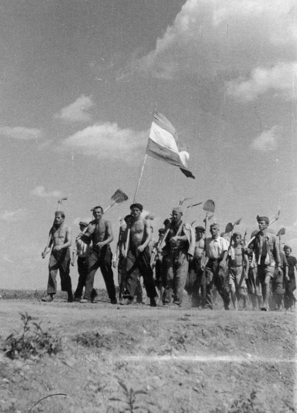 ЛУЖНИЧКЕ РАДНЕ БРИГАДЕ НА РАДНИМ АКЦИЈАМА У СФРЈ — fotografija 3
