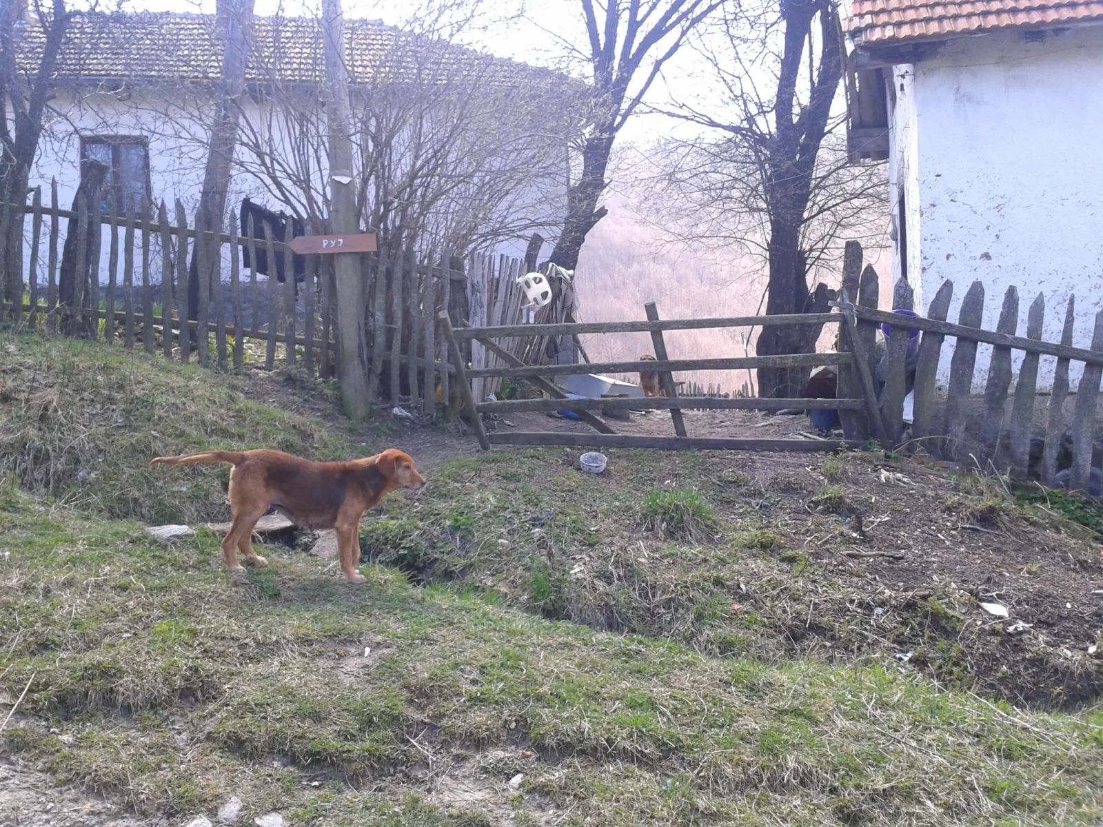 УСПОМЕНЕ НА ВОЈНИЧКЕ ДАНЕ ИЗ ВУЧИ ДЕЛА — fotografija 13