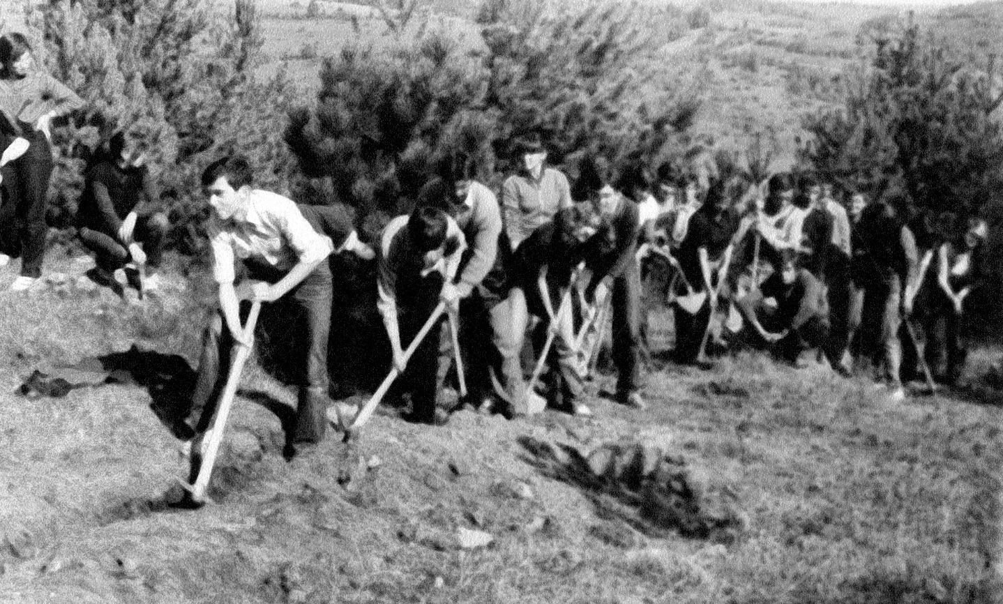 СЕОСКЕ – ЛОКАЛНЕ РАДНЕ АКЦИЈЕ У ЛУЖНИЦИ — ДРУГИ ДЕО