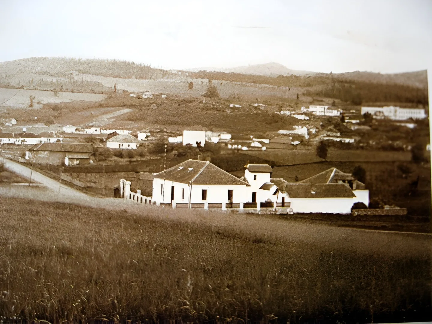 НАЈЛЕПШЕ ФОТОГРАФИЈЕ ПРЕДРАТНЕ БАБУШНИЦЕ (I)