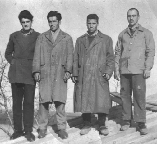 ЛУЖНИЧКИ ПЕЧАЛБАРИ — „Ја сам ти ко пиле. — Кад дојде време, — „Ја сам ти ко пиле. — Кад дојде време, — fotografija 5