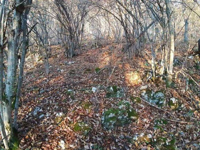 ПРИРОДНЕ ЛЕПОТЕ ЛУЖНИЧКИХ СЕЛА — fotografija 2