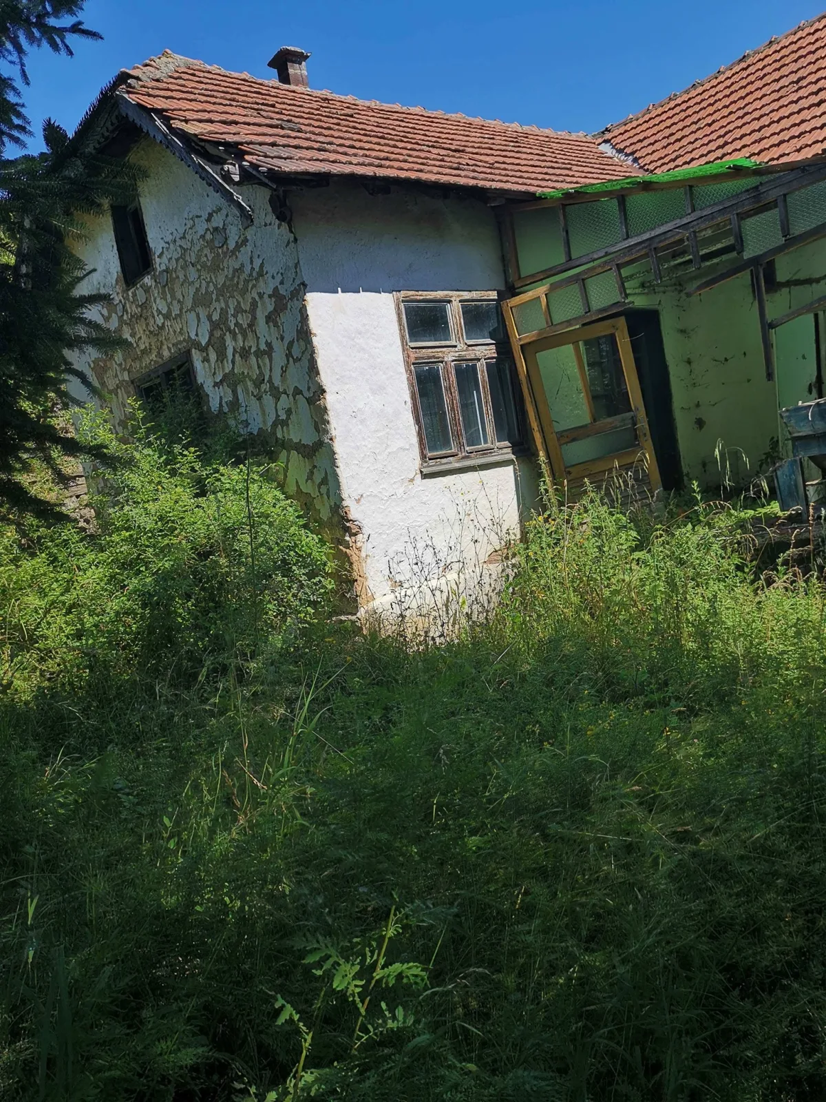 СЕЛО БЕРИН ИЗВОР ДАНАС — fotografija 10