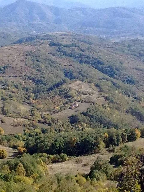 OSTATOVICA